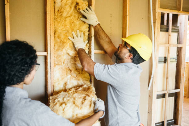 Garage Insulation Installation in Loudoun Valley Estates, VA