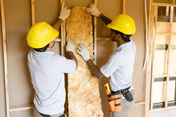 Best Insulation Removal  in Loudoun Lley Estates, VA